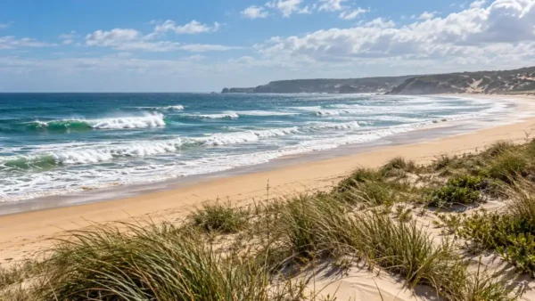 Travel to the Silver Coast, Portugal: Which Part and How Long 10 Atlantic waves rolling onto a wide sandy beach beside coastal dunes on Portugal's Silver Coast